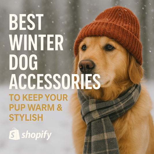 winter dog accessories