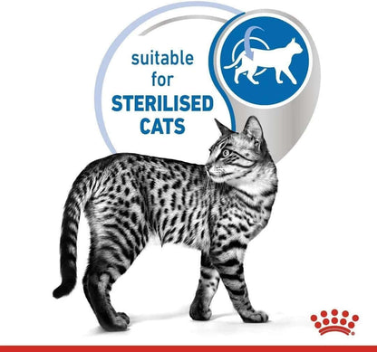 Indoor Sterilised Cat Wet Food – 12 × 85 g | Tender Chunks in Sauce