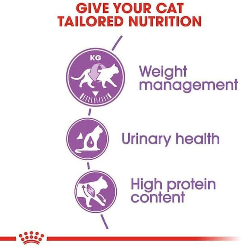 Neutered Adult Cat Dry Food – Double Pack (2 × 400 g) | High Protein & Balanced Nutrition