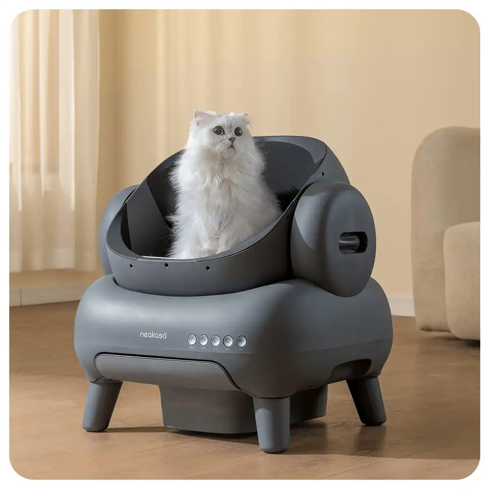 M1 Self-Cleaning Cat Litter Box with Open Top Design