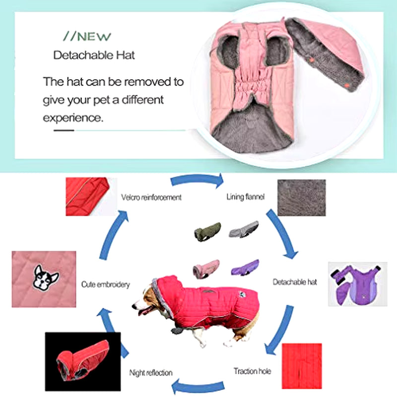 ComfortPup Winter Dog Coat - Quilted Jacket with Detachable Hood