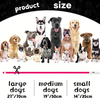 USB LED Dog Collar – Night Safety & Rechargeable