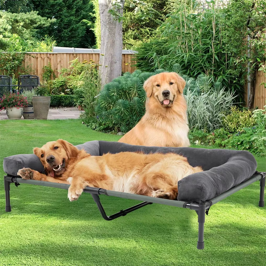 Breezecool Elevated Dog Bed - All-Season Cooling Cot with Bolster