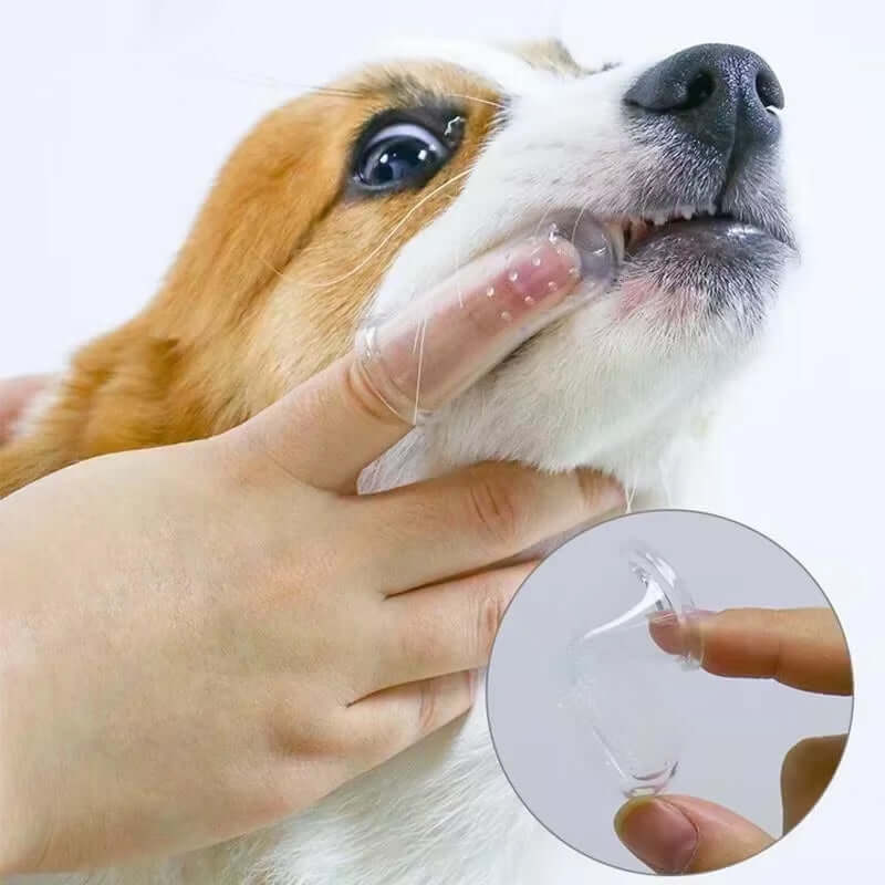 Finger Toothbrush for Dogs and Cats – Silicone Dental Cleaning Tool