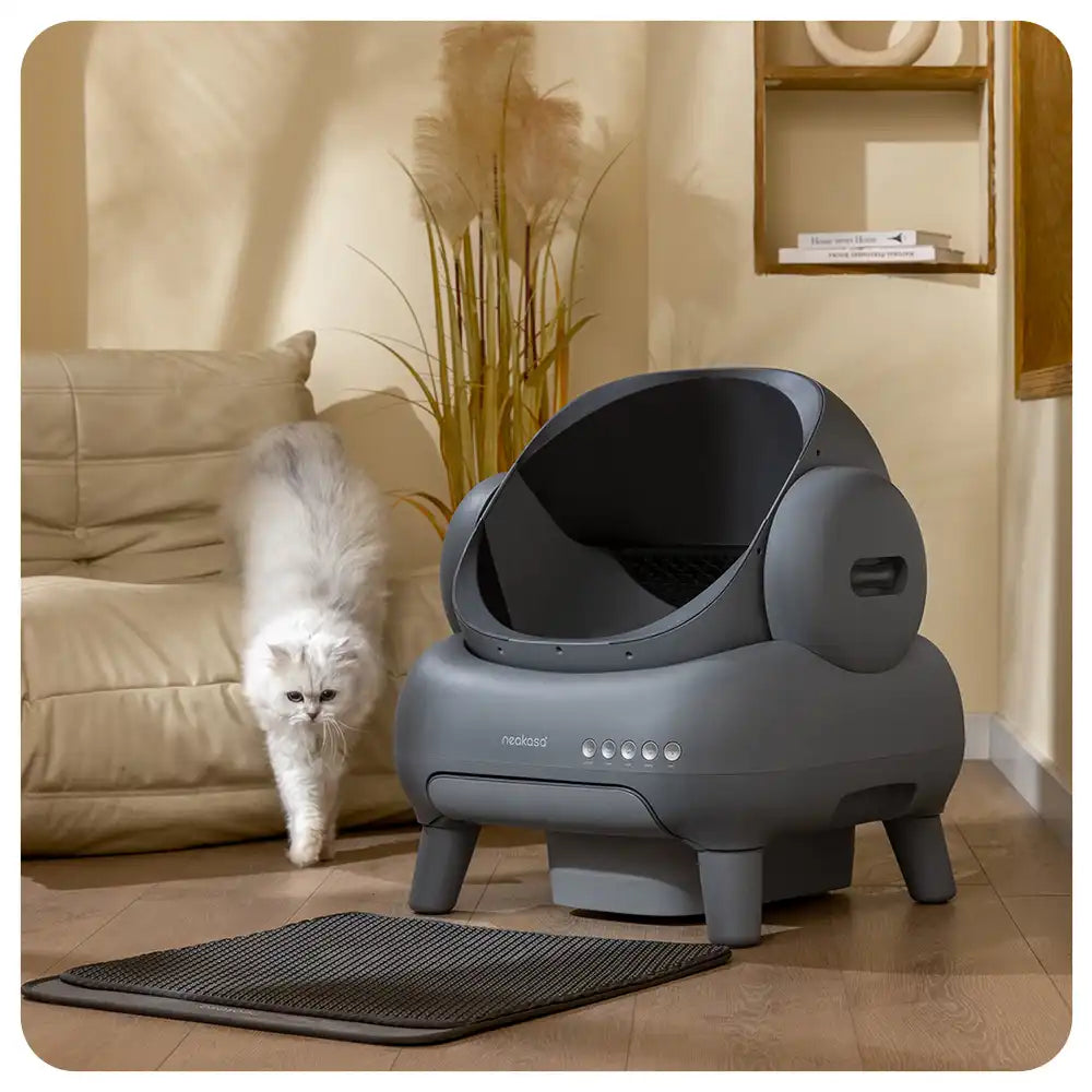 M1 Self-Cleaning Cat Litter Box with Open Top Design