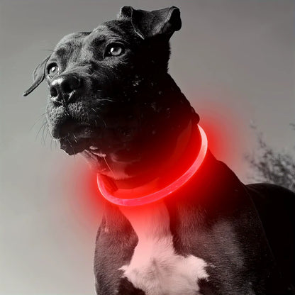 USB LED Dog Collar – Night Safety & Rechargeable