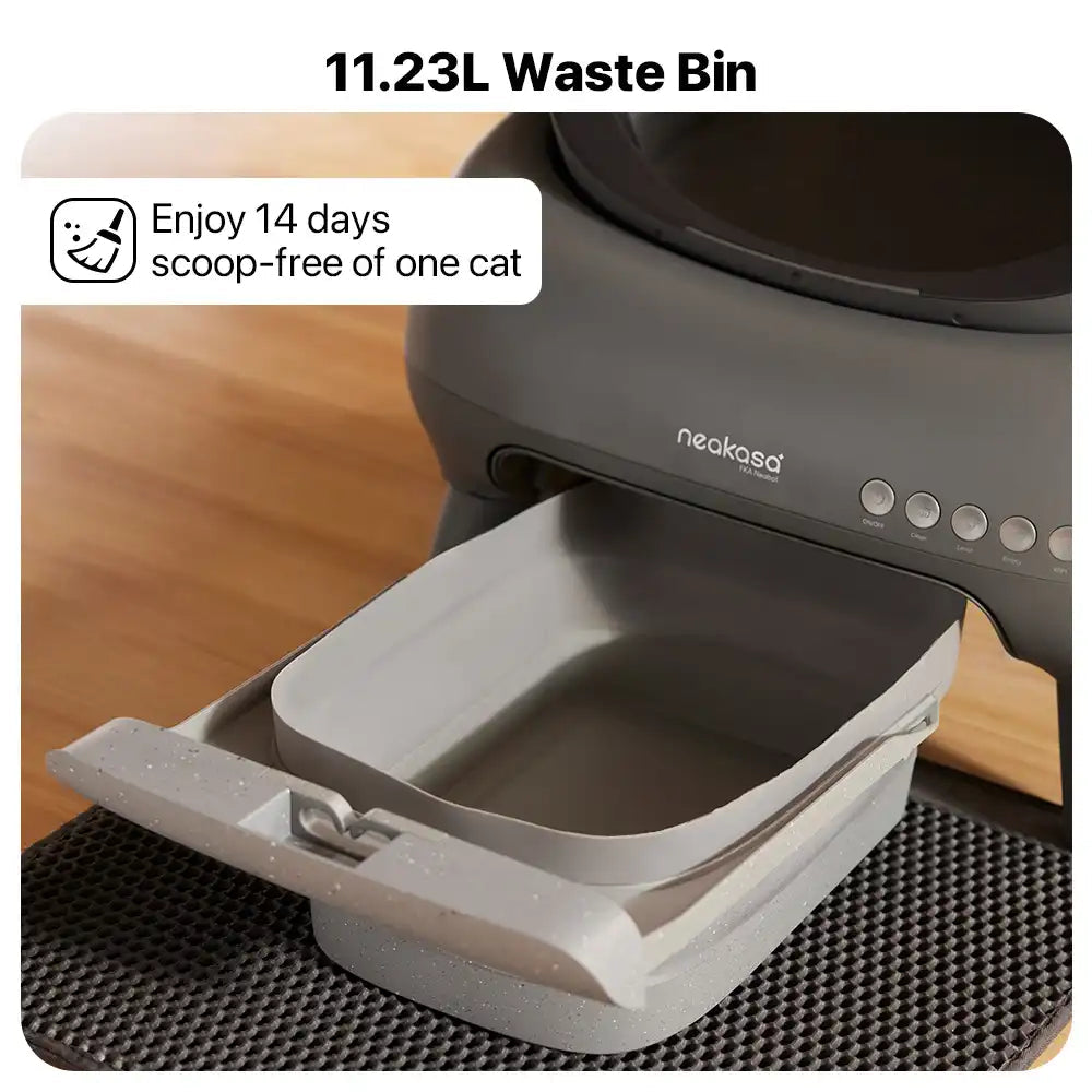 Open-Top Smart Self-Cleaning Litter Box