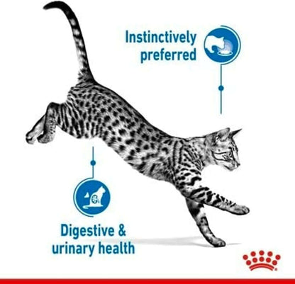 Indoor Sterilised Cat Wet Food – 12 × 85 g | Tender Chunks in Sauce