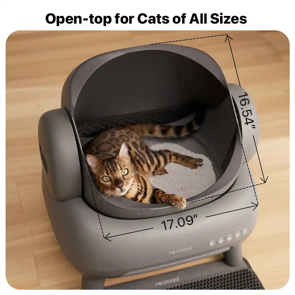 M1 Self-Cleaning Cat Litter Box with Open Top Design