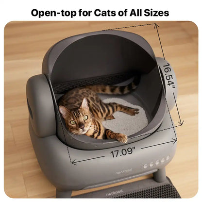 M1 Self-Cleaning Cat Litter Box with Open Top Design