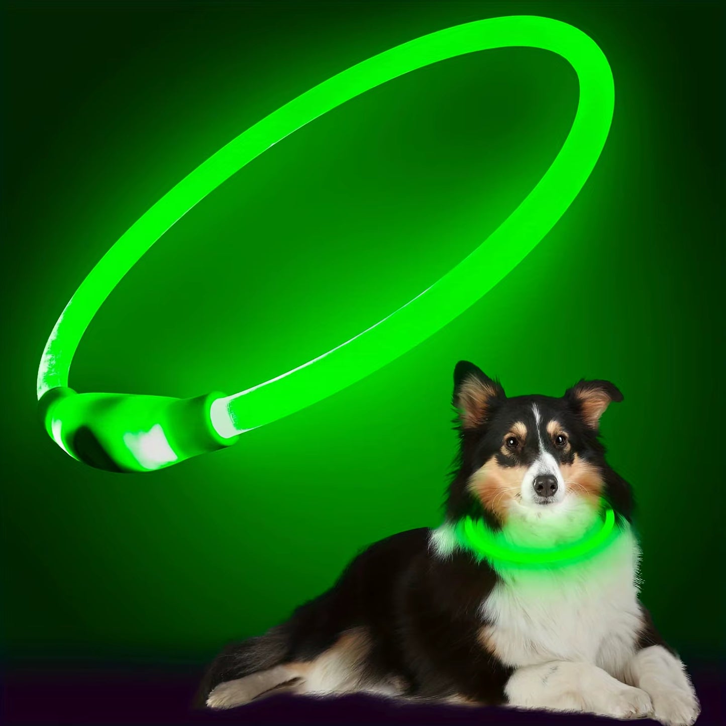 USB LED Dog Collar – Night Safety & Rechargeable