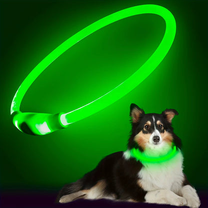 USB LED Dog Collar – Night Safety & Rechargeable