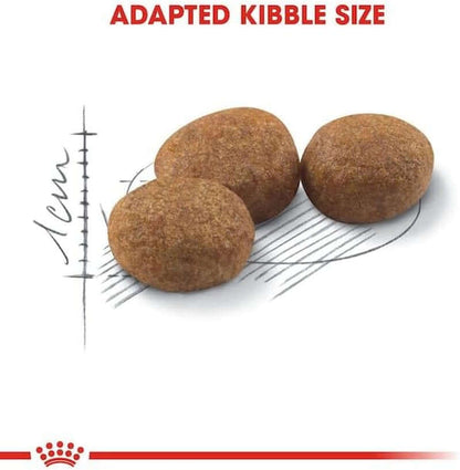 Neutered Adult Cat Dry Food – Double Pack (2 × 400 g) | High Protein & Balanced Nutrition