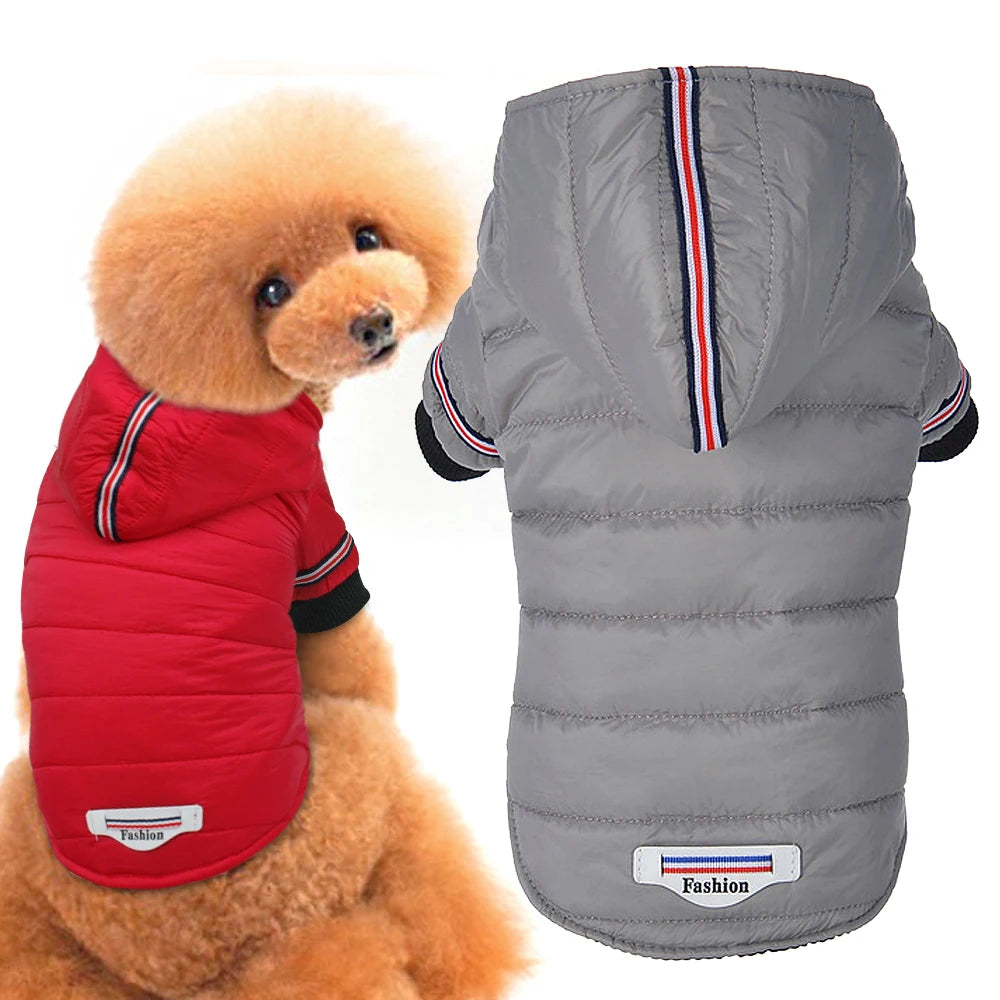 Small Dog Clothes Winter Chihuahua Clothing Pet Jacket and Coat Waterproof Ropa Para Perros for Small Medium Dog Red