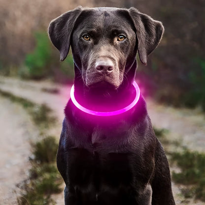 USB LED Dog Collar – Night Safety & Rechargeable