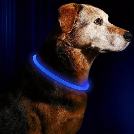 USB LED Dog Collar – Night Safety & Rechargeable