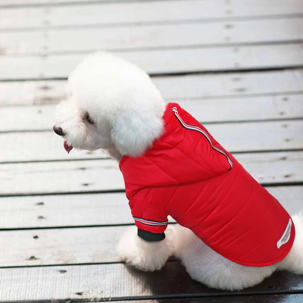 Small Dog Clothes Winter Chihuahua Clothing Pet Jacket and Coat Waterproof Ropa Para Perros for Small Medium Dog Red