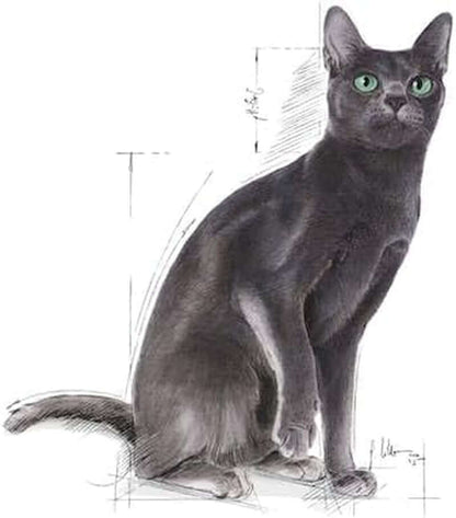 Neutered Adult Cat Dry Food – Double Pack (2 × 400 g) | High Protein & Balanced Nutrition