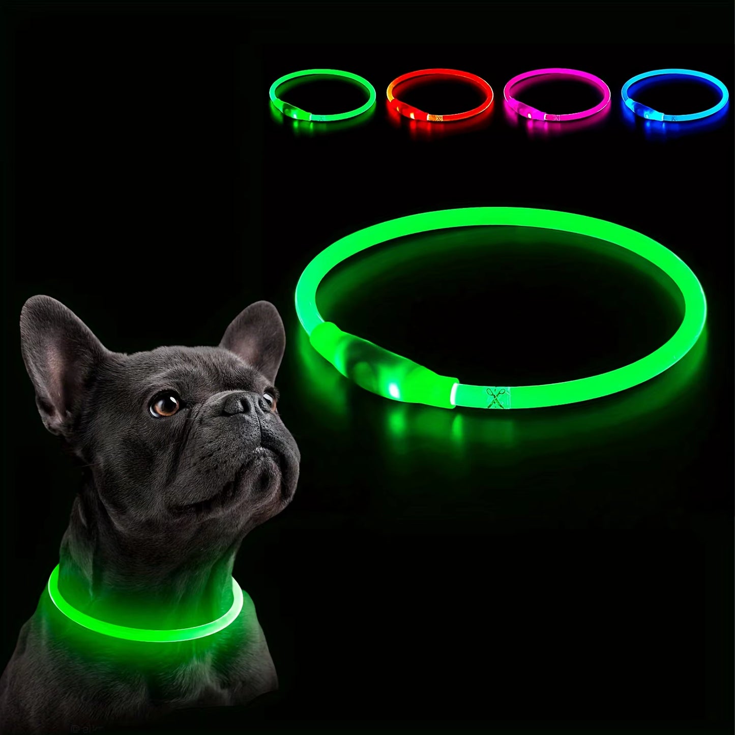 USB LED Dog Collar – Night Safety & Rechargeable