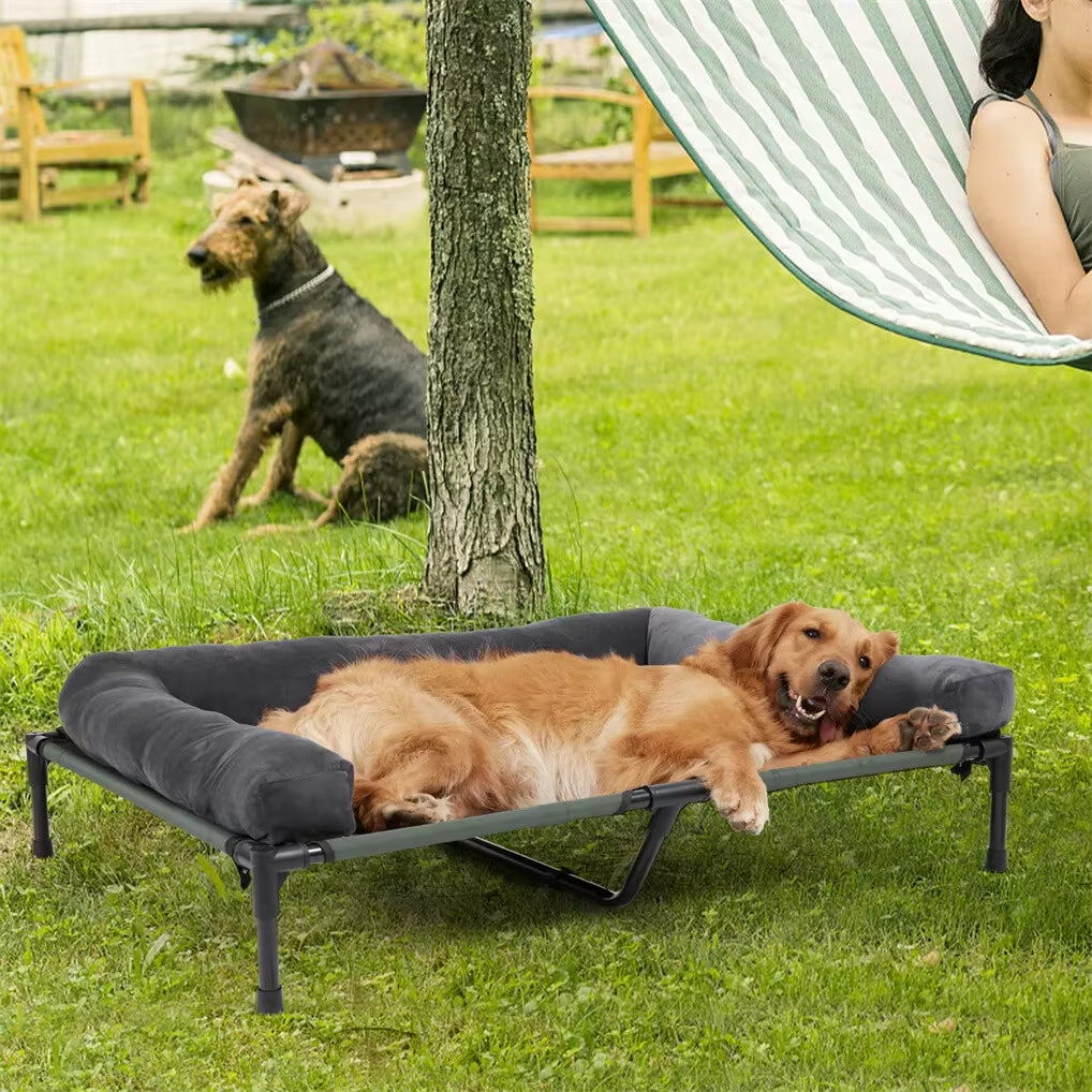 Breezecool Elevated Dog Bed - All-Season Cooling Cot with Bolster
