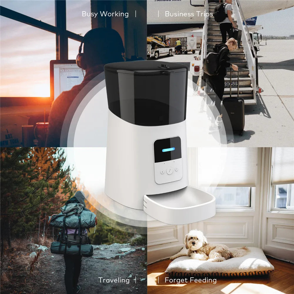 6L Smart WiFi Automatic Pet Feeder with APP Timer for Cats and Dogs