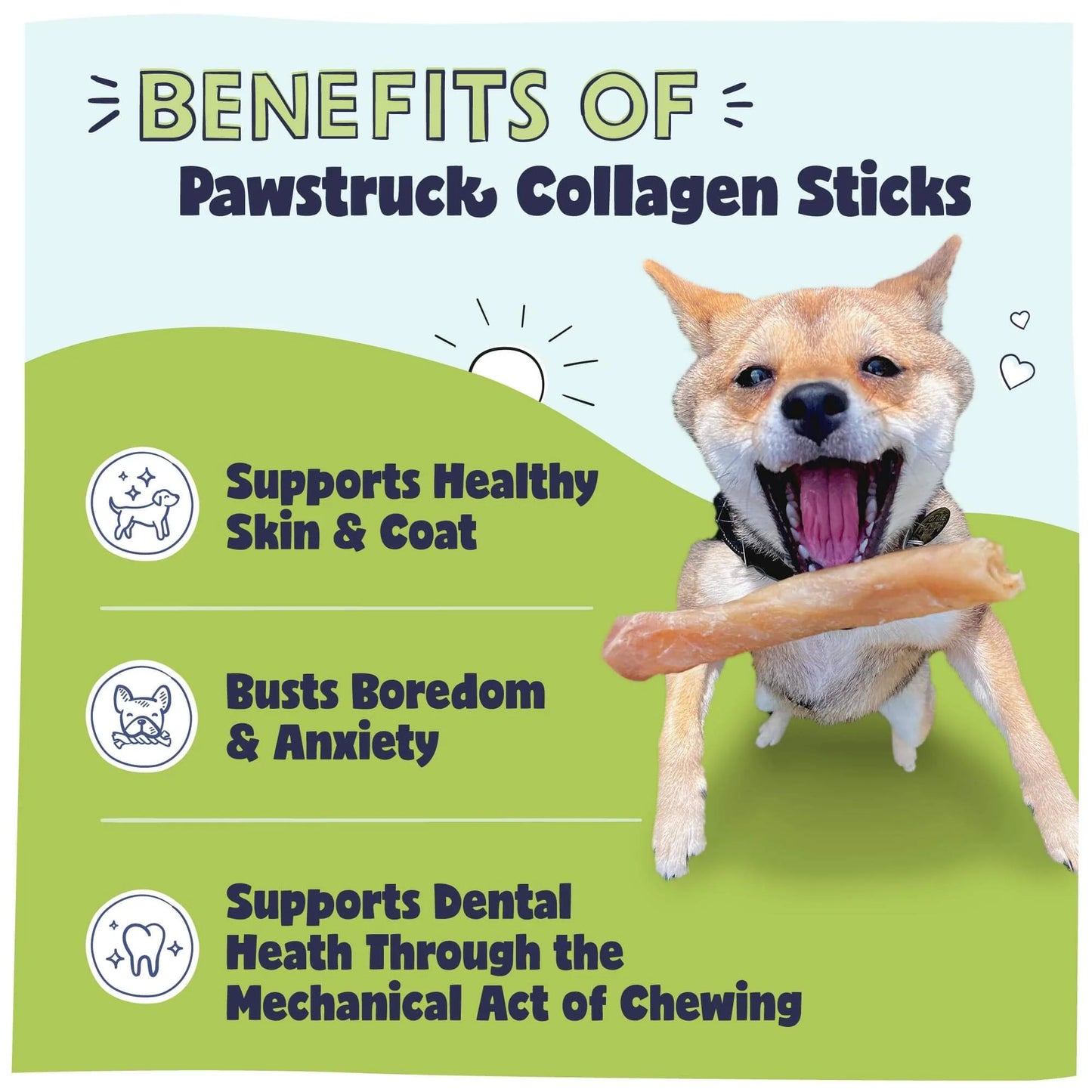 Beef Collagen Dog Chews – Rawhide-Free Treats
