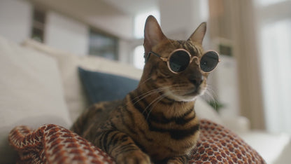 Neakasa M1 Self-Cleaning Cat Litter Box - Smart App Control & Odor-Free